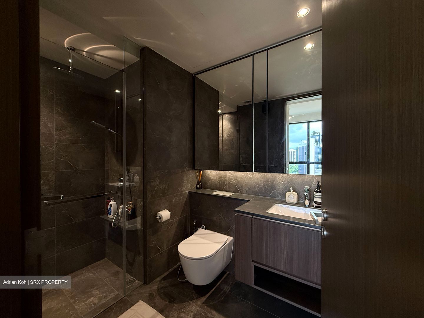 Kopar At Newton (D9), Apartment #563819251